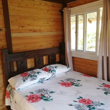 Mario'S Lodge Providencia Copey Ngoại thất bức ảnh