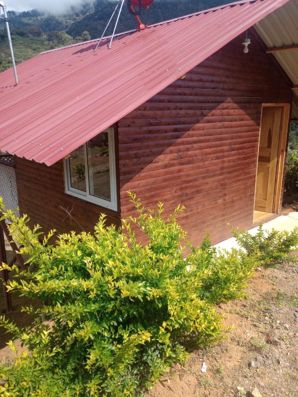 Mario'S Lodge Providencia Copey Ngoại thất bức ảnh