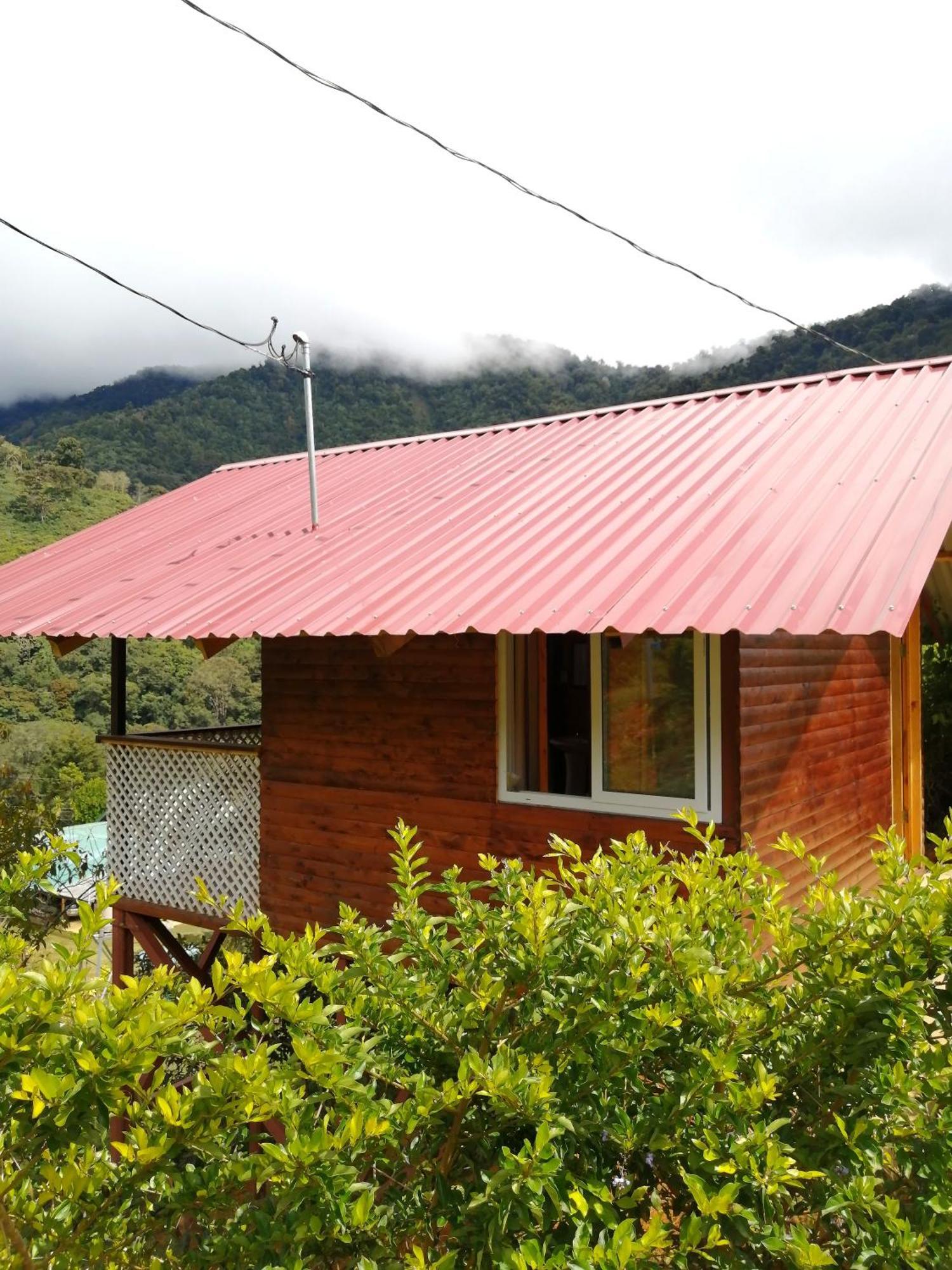 Mario'S Lodge Providencia Copey Ngoại thất bức ảnh